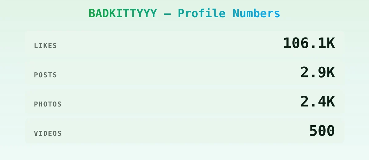BADKITTYYY — content metrics