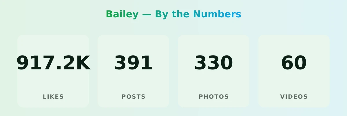Bailey — content metrics