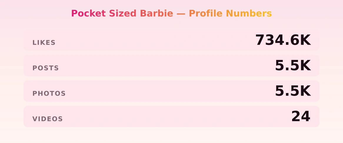 Pocket Sized Barbie — content metrics