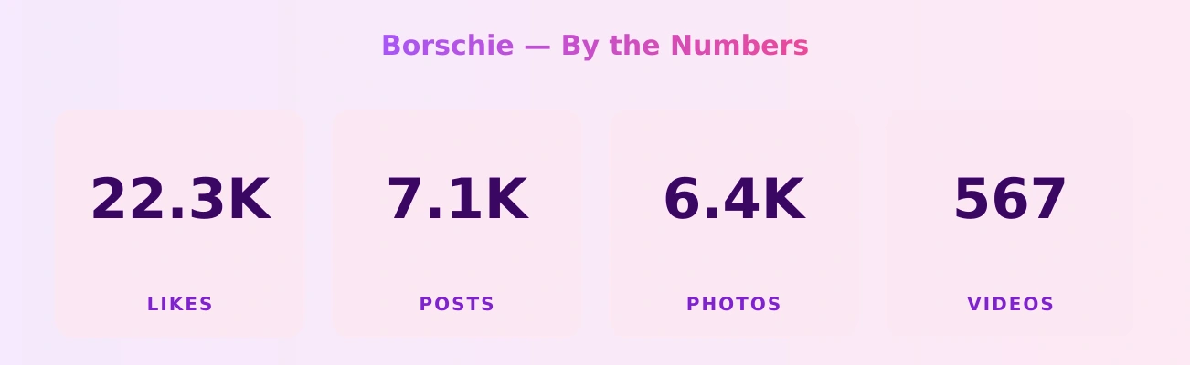 Borschie — content metrics