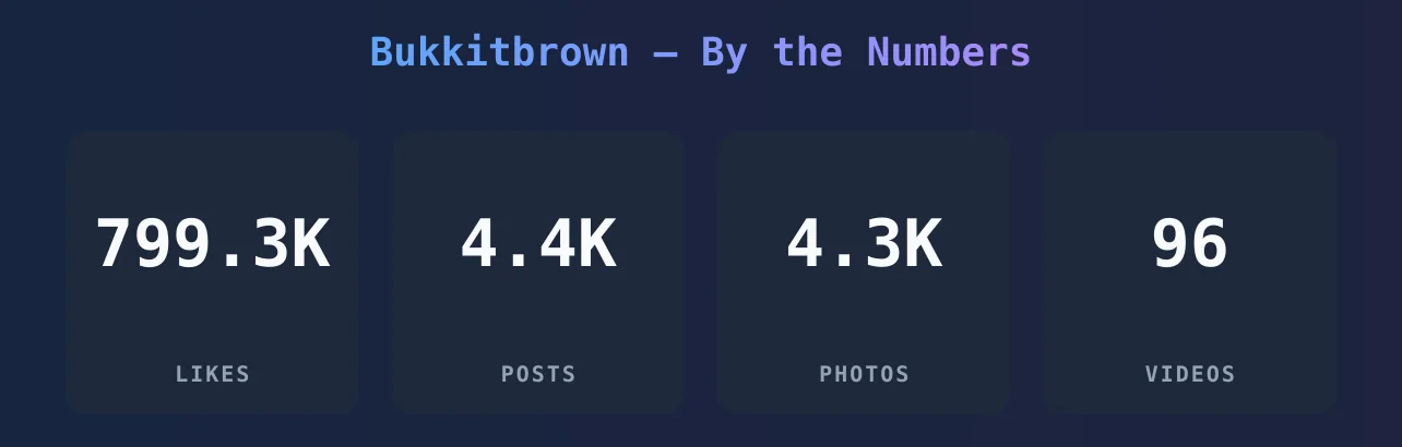 Bukkitbrown — content metrics