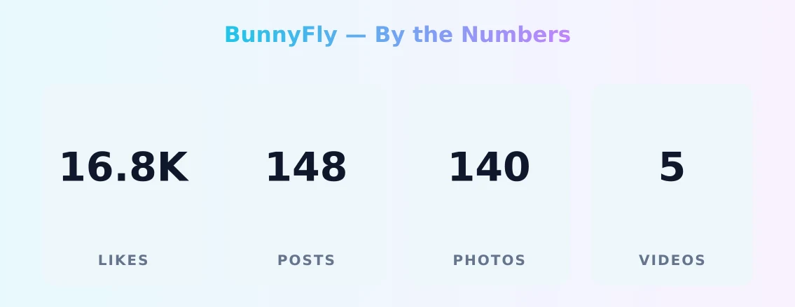 BunnyFly — content metrics