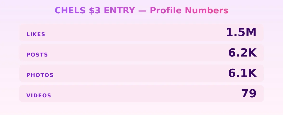 CHELS $3 ENTRY — content metrics