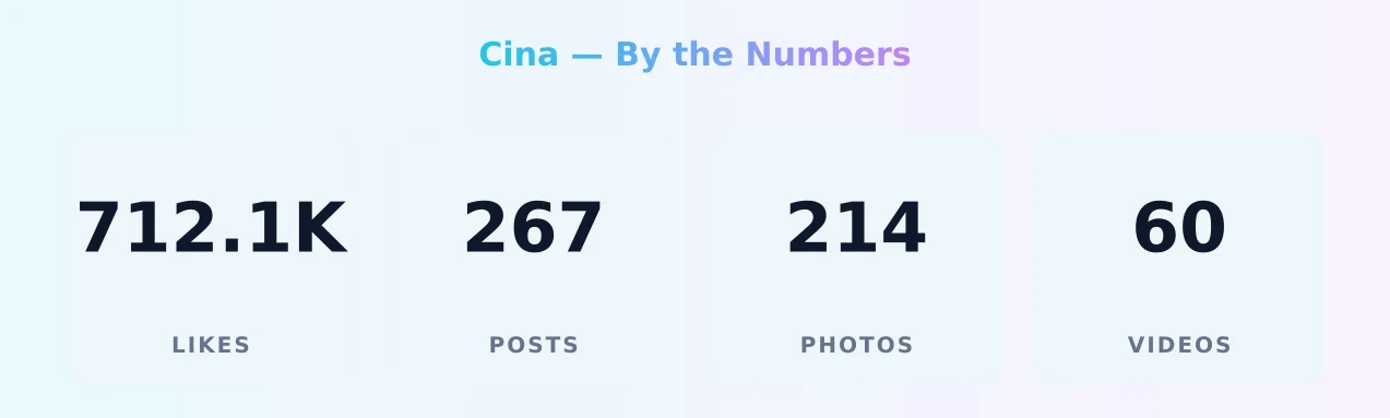 Cina — content metrics
