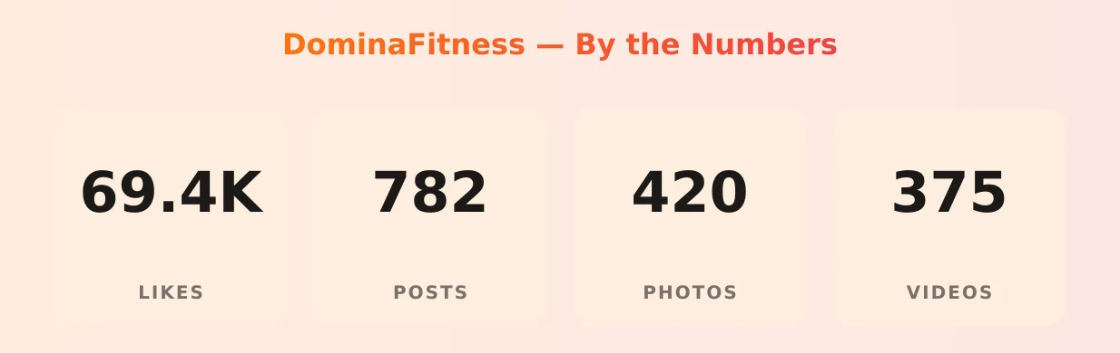 DominaFitness — content metrics