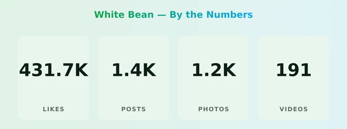 White Bean — content metrics