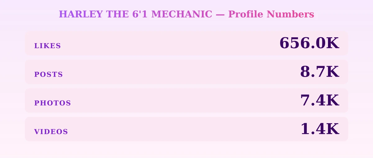 HARLEY THE 6'1 MECHANIC — content metrics