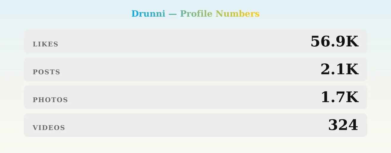 Drunni — content metrics