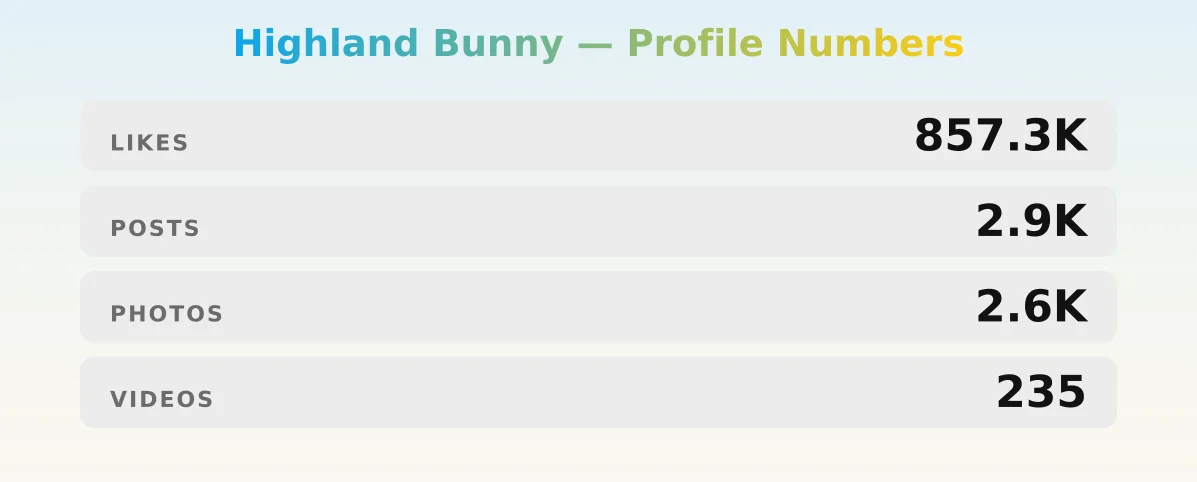 Highland Bunny — content metrics