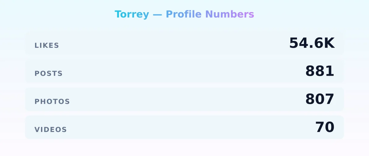 Torrey — content metrics