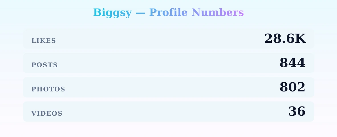 Biggsy — content metrics