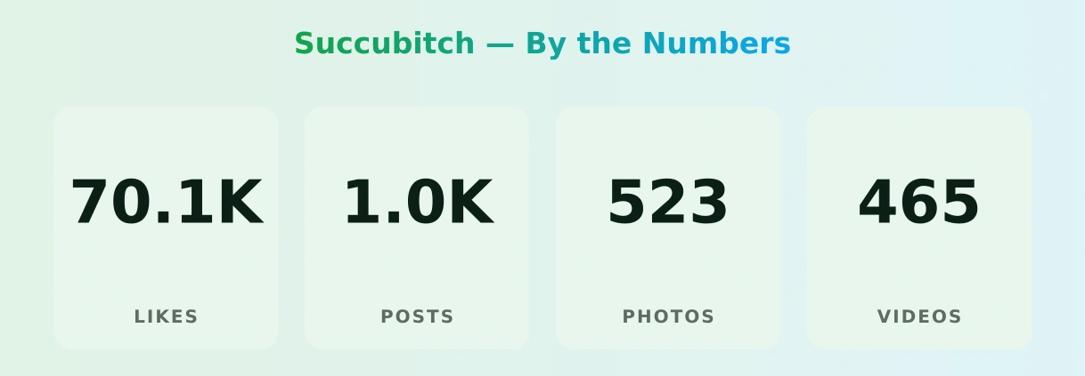 Succubitch — content metrics