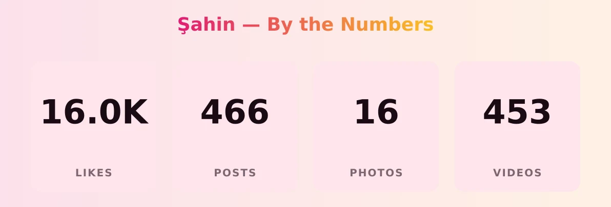 Şahin — content metrics