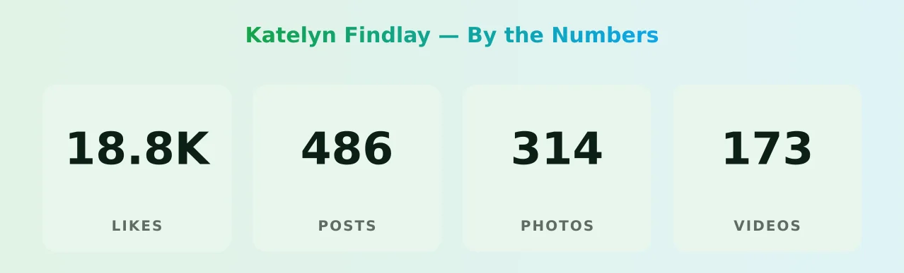 Katelyn Findlay — content metrics