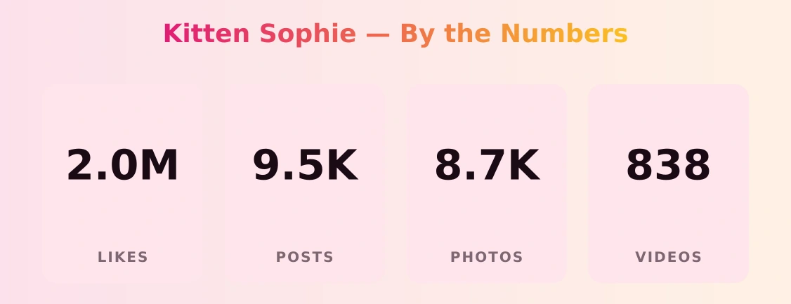 Kitten Sophie — content metrics