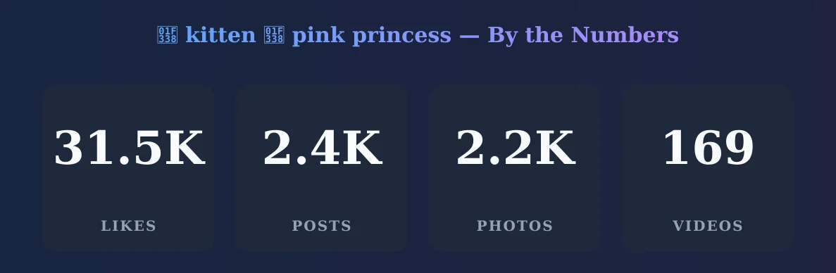 🌸 kitten 🌸 pink princess — content metrics