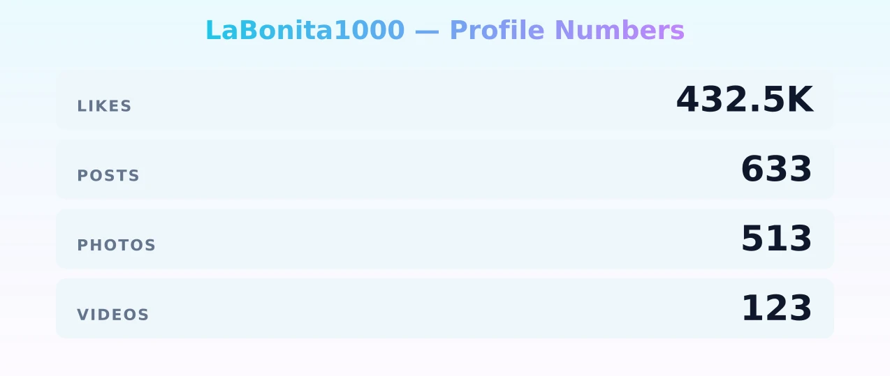 LaBonita1000 — content metrics