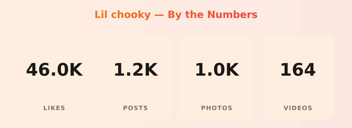 Lil chooky — content metrics
