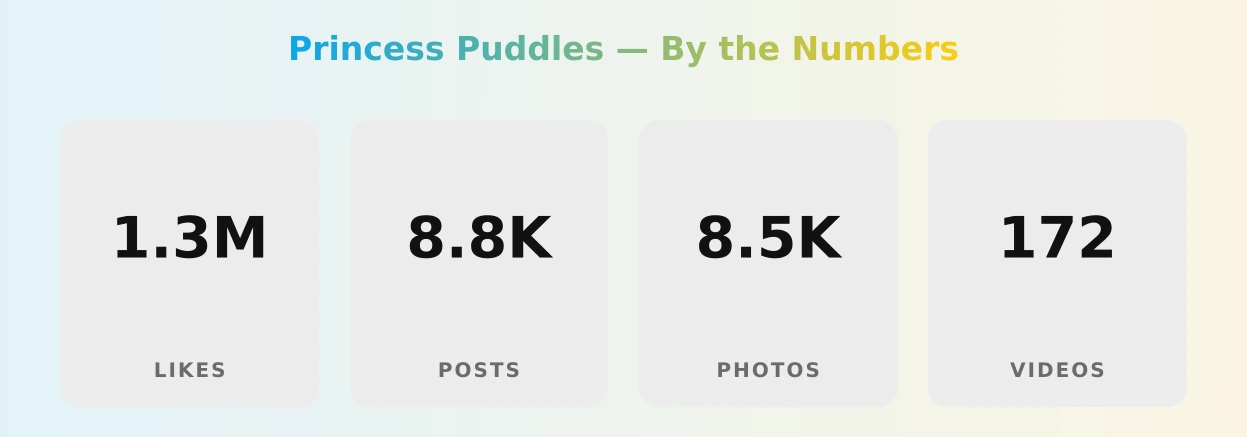 Princess Puddles — content metrics