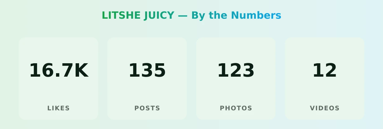 LITSHE JUICY — content metrics