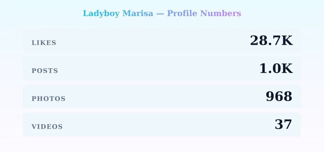 Ladyboy Marisa — content metrics