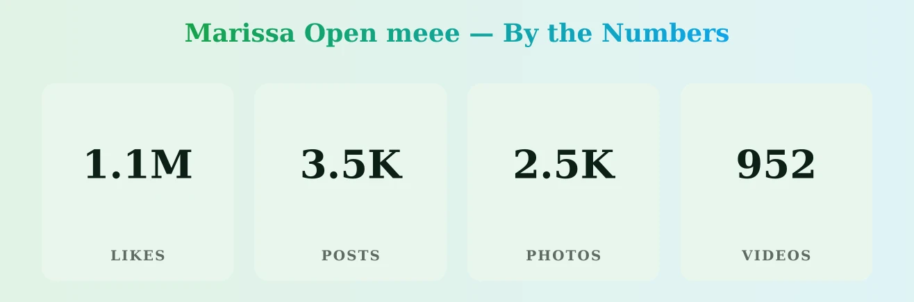 Marissa Open meee — content metrics