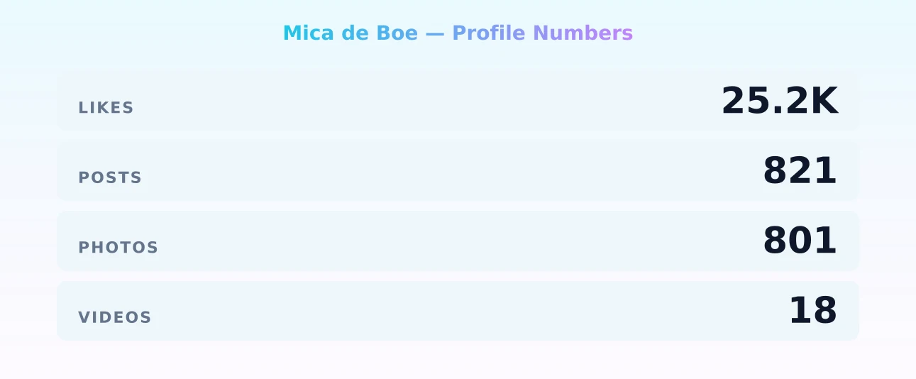 Mica de Boe — content metrics