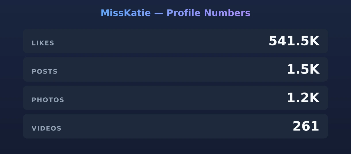 MissKatie — content metrics