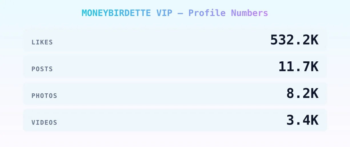 MONEYBIRDETTE VIP — content metrics
