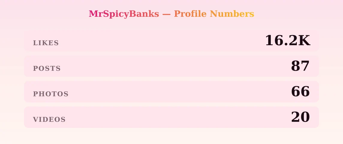 MrSpicyBanks — content metrics