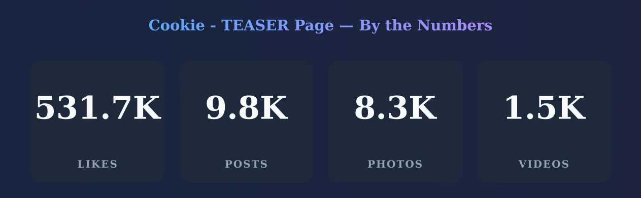 Cookie - TEASER Page — content metrics