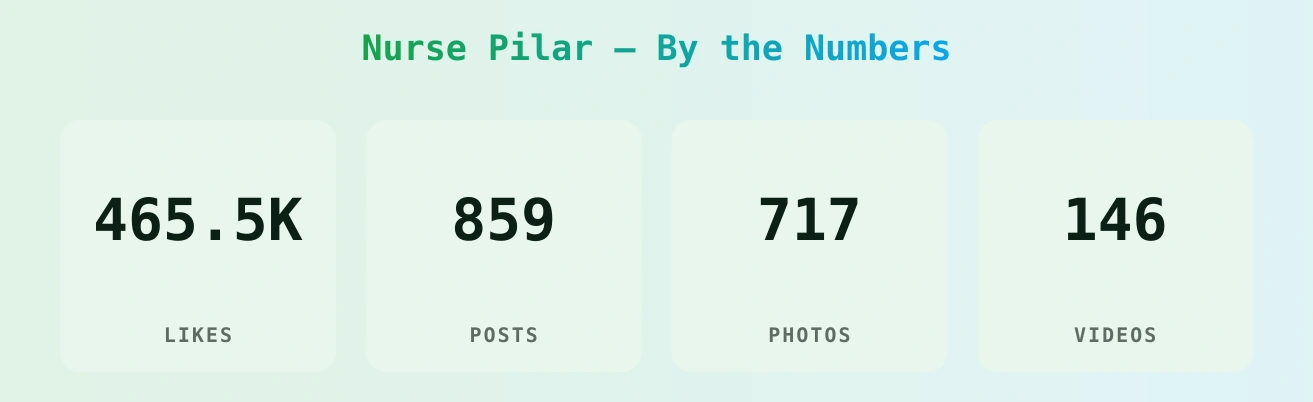 Nurse Pilar — content metrics