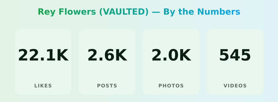 Rey Flowers (VAULTED) — content metrics