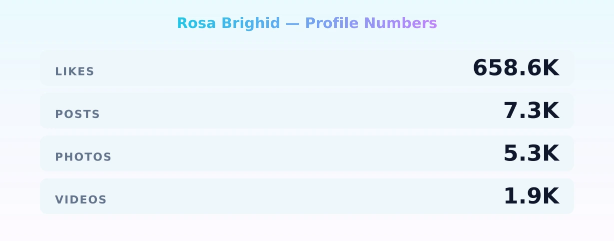 Rosa Brighid — content metrics