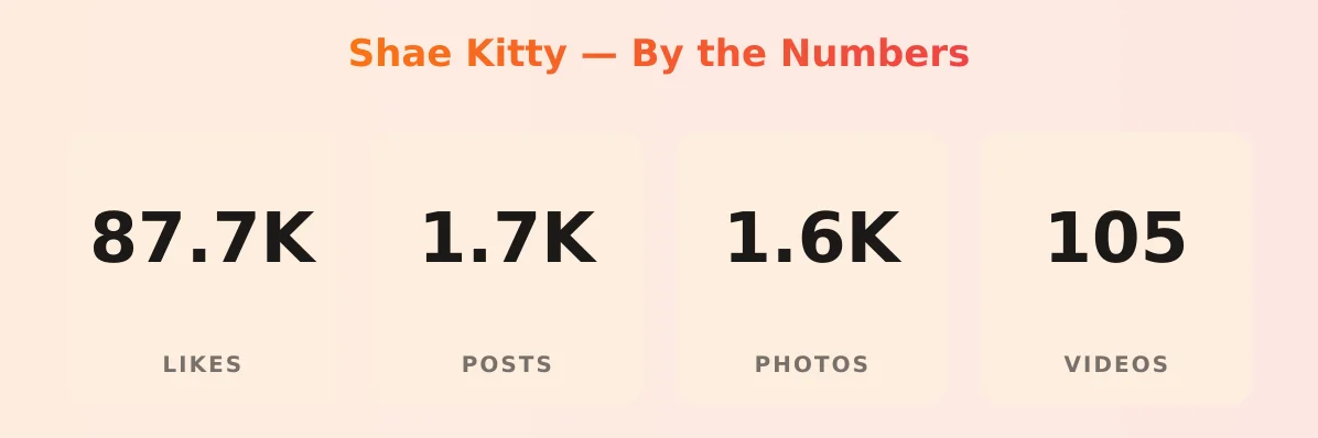 Shae Kitty — content metrics