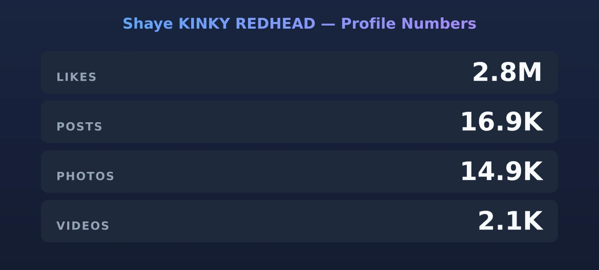 Shaye KINKY REDHEAD — content metrics
