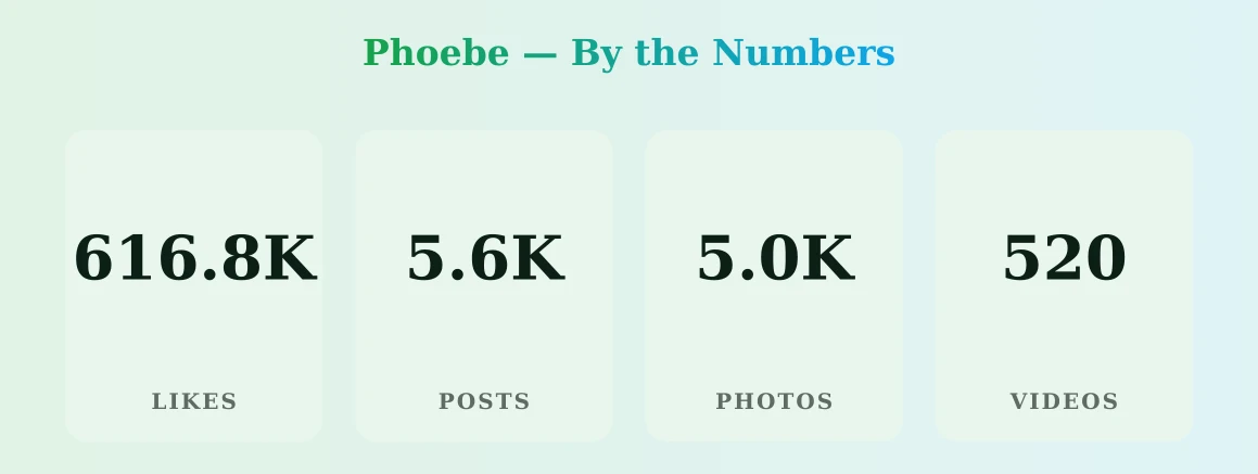 Phoebe — content metrics