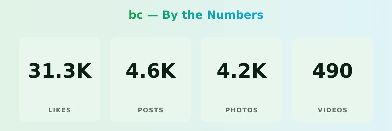 bc — content metrics
