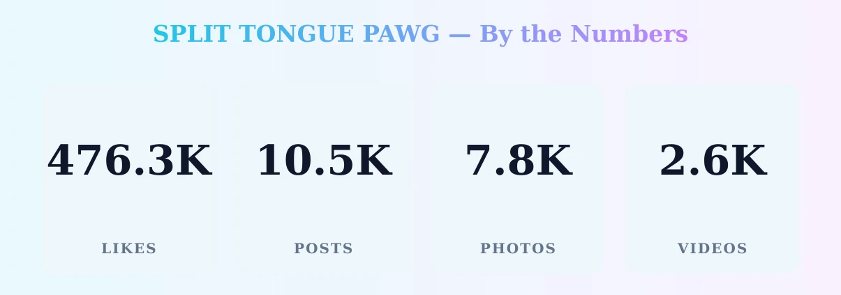 SPLIT TONGUE PAWG — content metrics