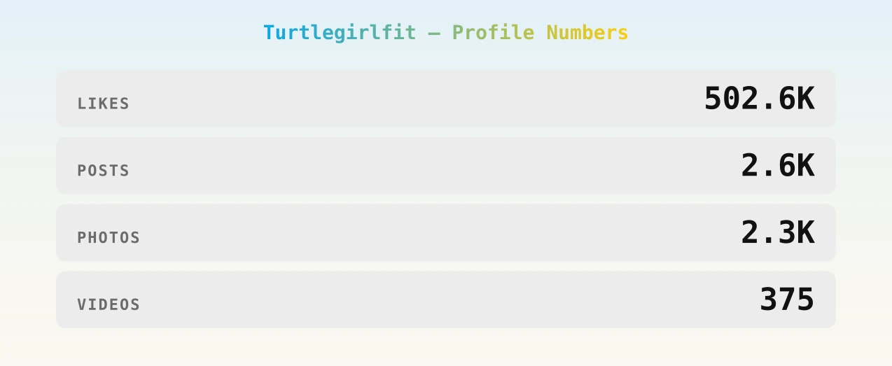 Turtlegirlfit — content metrics