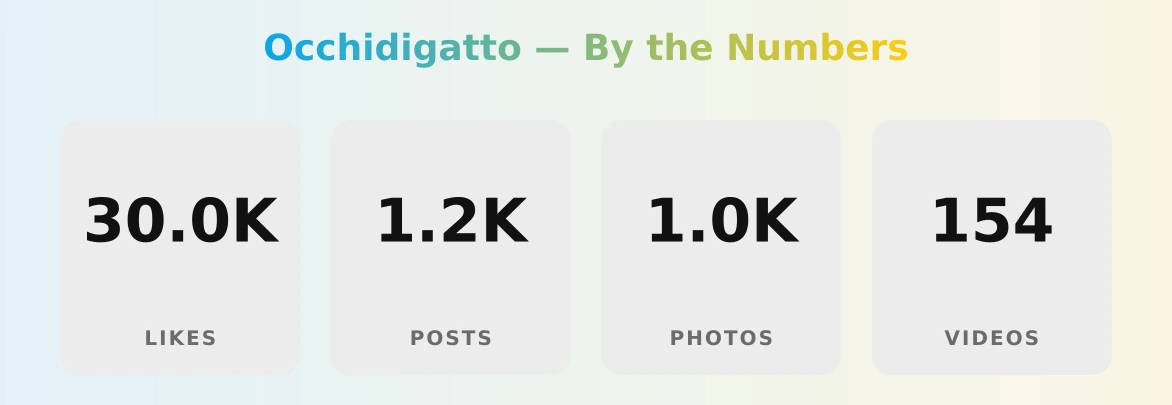 Occhidigatto — content metrics