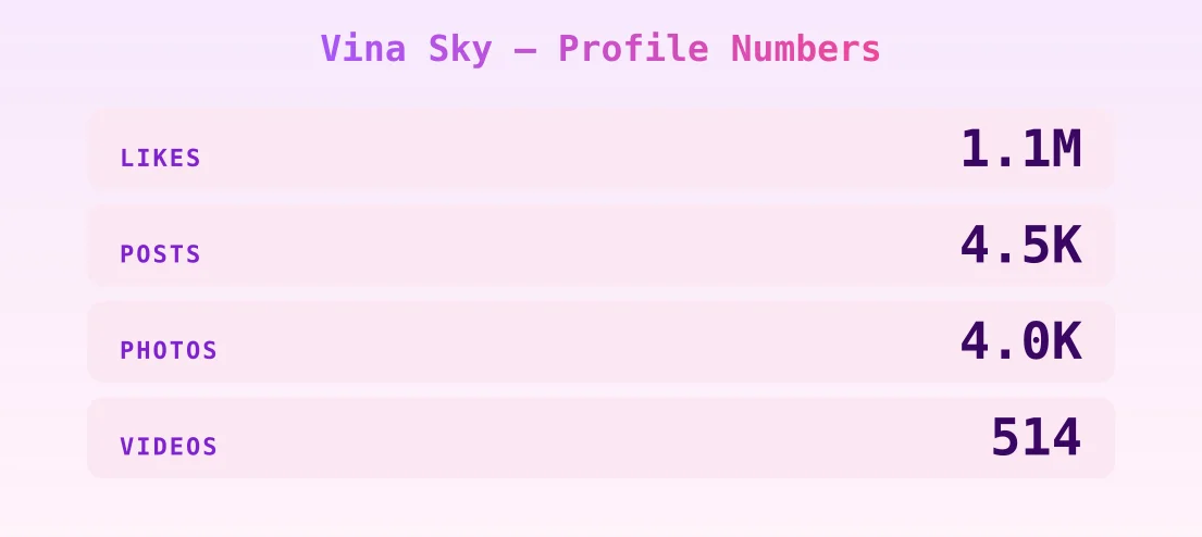 Vina Sky — content metrics