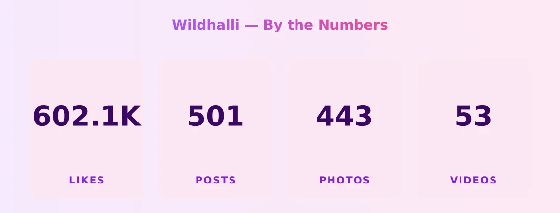 Wildhalli — content metrics