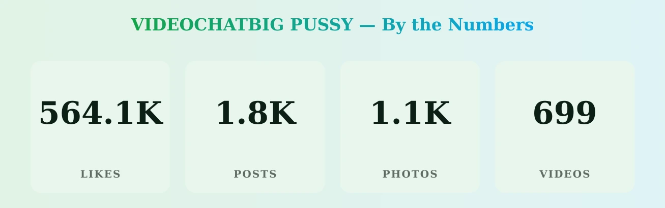 VIDEOCHATBIG PUSSY — content metrics